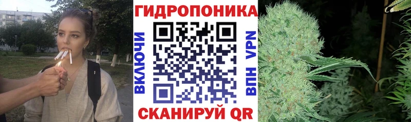 Канабис семена Бодайбо